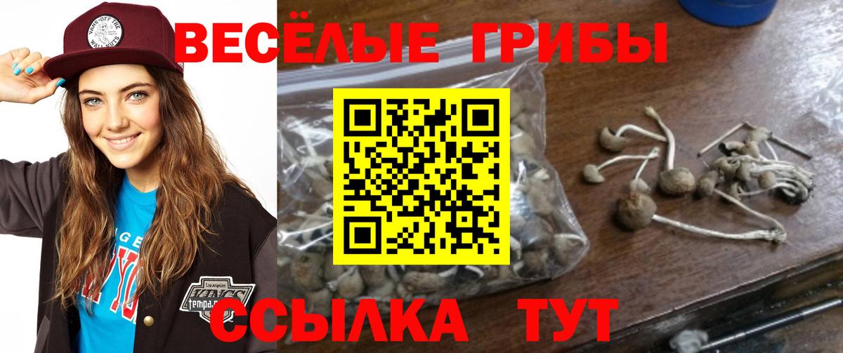 Псилоцибиновые грибы Cubensis  Псилоцибиновые грибы Cubensis  Вход с VPN  Долгопрудный 